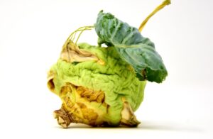 小陰唇縮小手術を受ける際の安全なクリニックの見分け方は？