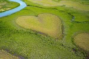 小陰唇の形成に使用する溶ける糸の効果は？