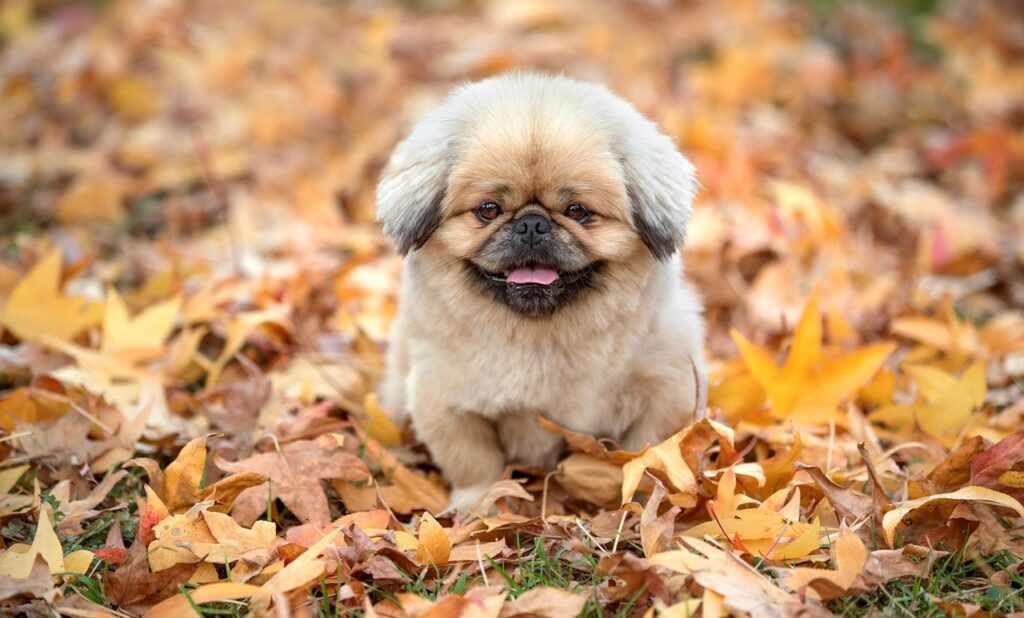 小陰唇の摩擦が痛い原因と対策は？