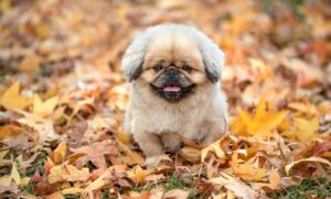 小陰唇の摩擦が痛い原因と対策は？