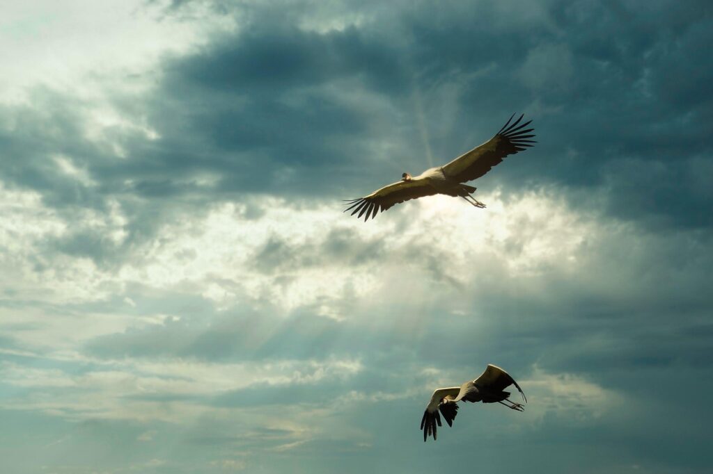 小陰唇形成術後の自宅での体験談とは？