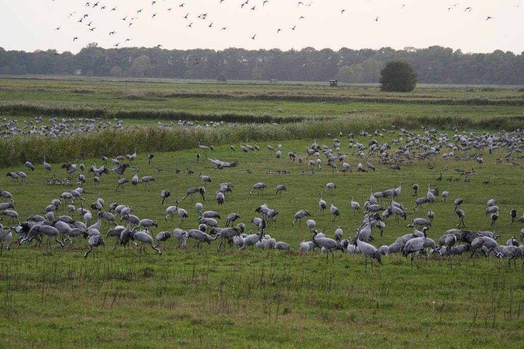 小陰唇形成術後の自宅での体験談はどのようなものですか？