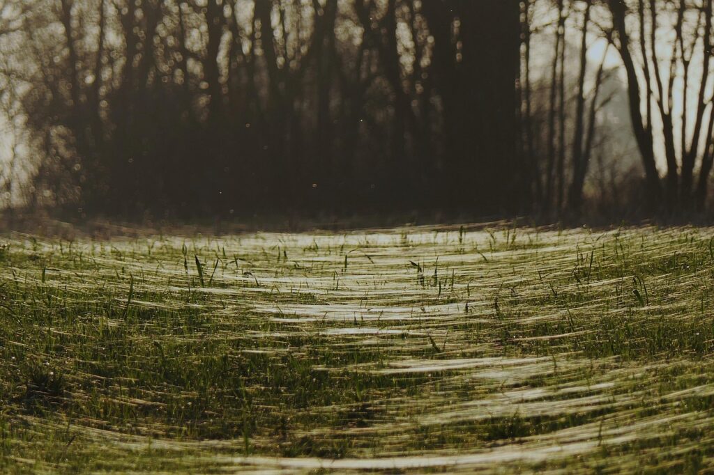 小陰唇縮小で使用する吸収糸は何日で消えるのか？