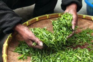 小陰唇の乾燥が重症例に至る原因と対策は？