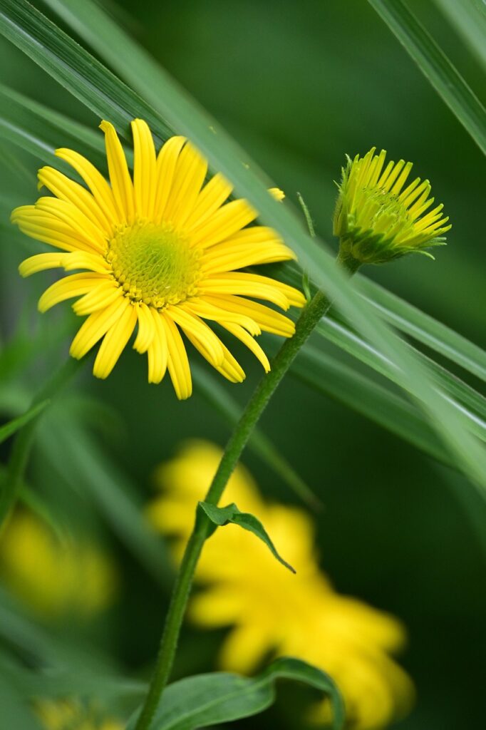 小陰唇縮小で産後の悩みを改善する方法は？