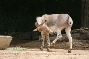 小陰唇のかゆみを改善するための方法は？