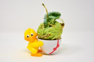 小陰唇縮小手術のモニター募集はどこで行われているの？