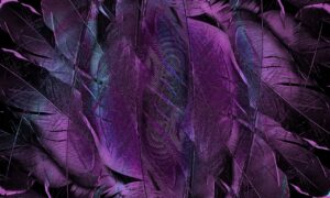 VIOの形を整える方法とは？