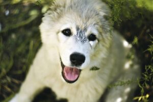 VIO脱毛後の黒ずみ対策にはどんな方法がある？